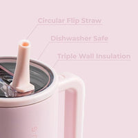 Water Bottle with Handle & Flip Straw