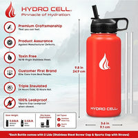 Stainless Steel Insulated Water Bottle with Straw